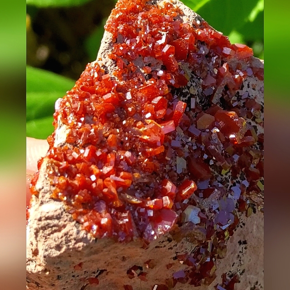 Vibrant Vanadinite Specimen - Picture 6 of 16